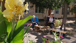 Ахтубинские пенсионеры охотно занимаются живописью