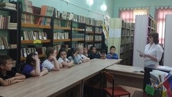 В Доме культуры села Покровка прошло тематическое мероприятие