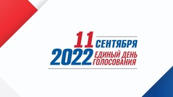 В Ахтубинском районе пройдут выборы депутатов