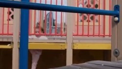 СК проверит обстоятельства травмирования двухлетней девочки в Ахтубинске