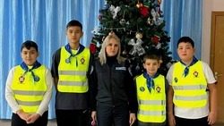 В Ахтубинском районе украсили ёлку игрушками по тематике дорожного движения 