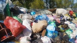 Ахтубинским дачникам грозит мусорный коллапс