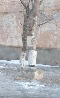 В Ахтубинске опора линии электропередач повисла на дереве