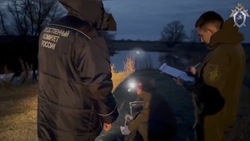 Житель Подмосковья задержан по подозрению в убийстве мужчины в Ахтубинском районе