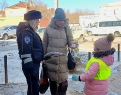 В Ахтубинском районе прошла акция по профилактике ДТП
