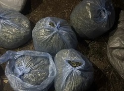 Более 5,7 килограмм каннабиса изъято полицейскими у жителя Ахтубинского района