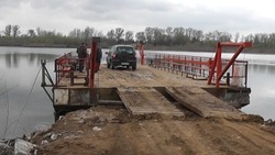 Работа паромной переправы на остров Петриков остановится на три дня