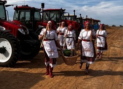 В Ахтубинском районе прошёл масштабный агрофестиваль