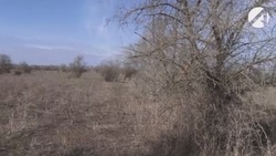 Правительство России определило признаки заброшенной земли