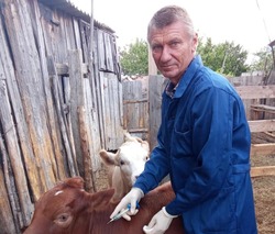 Ветеринар из Ахтубинского района признан лучшим в профессии