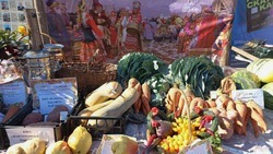 В Ахтубинском районе выбрали самый необычный урожай 